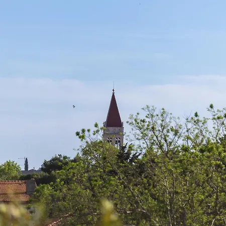 Tinel * تروغير